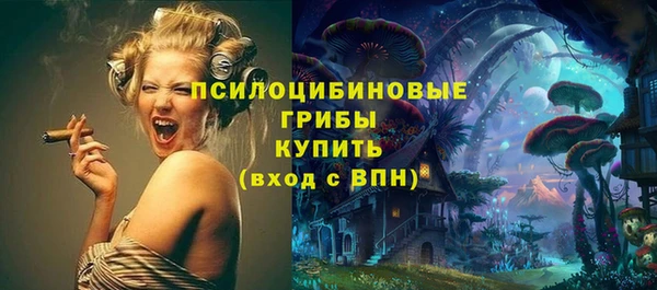 МДПВ Алзамай