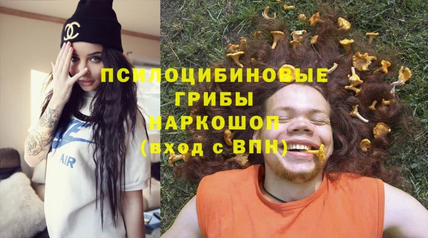 МДПВ Алзамай