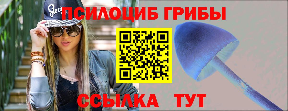 Галлюциногенные грибы мухоморы  Вход с VPN  Тобольск 