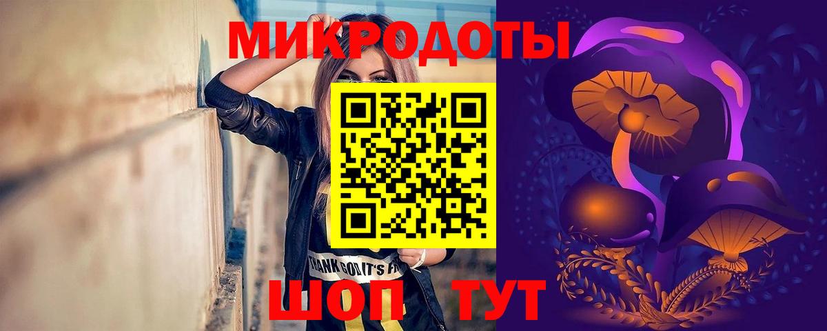 Псилоцибиновые грибы Cubensis Тобольск